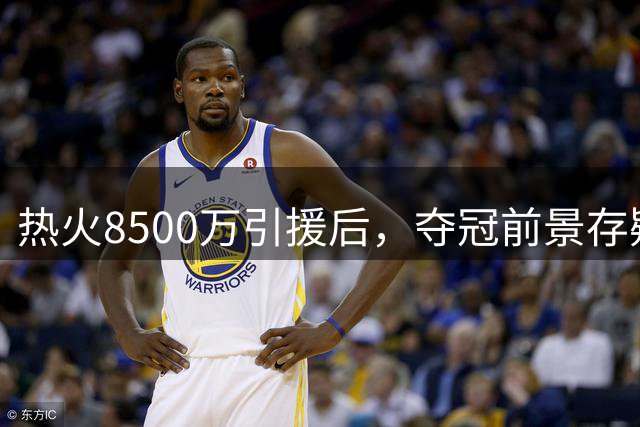 热火8500万引援后，夺冠前景存疑